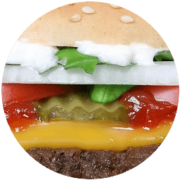The Keto Diet and Nutrition Health Report part 1 3 Burger with cheese